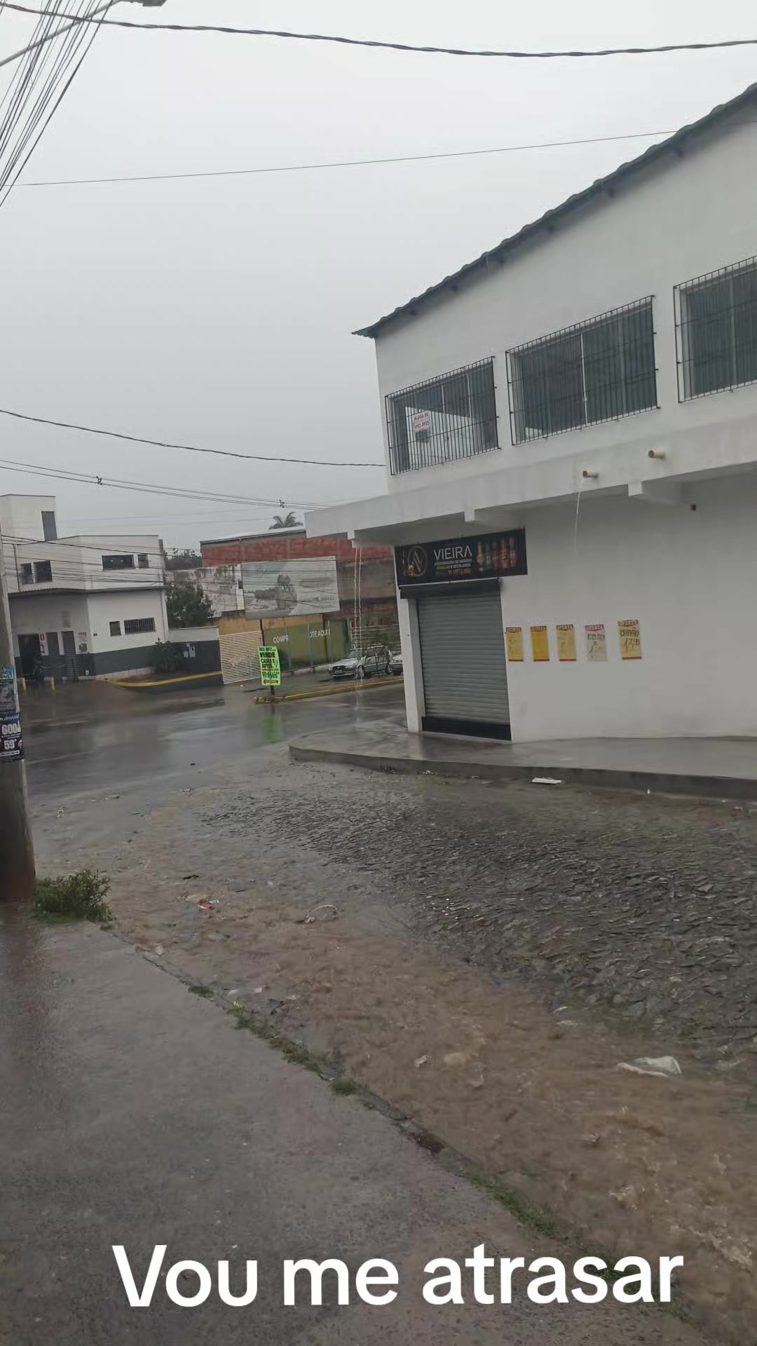 @brunohenriquedias1804