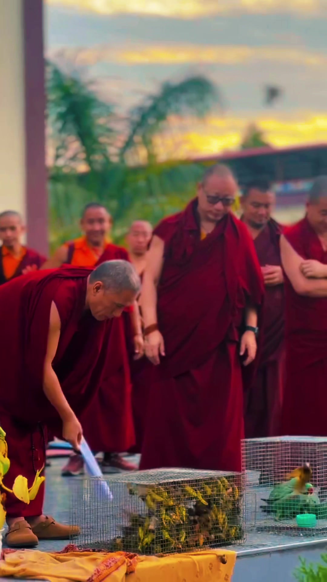 @Ngawang Tenzin
