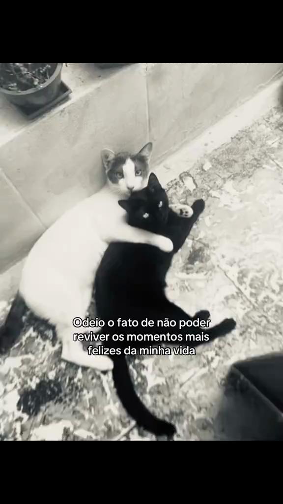 @🌸𝓐𝓷𝓪 𝓫𝓪𝓻𝓫𝓪𝓻𝓪