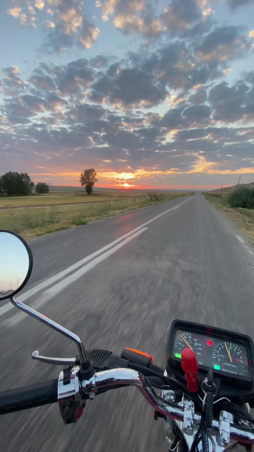 @🐺 ℐ̇𝒷𝓇𝒶𝒽𝒾𝓂ℰ𝓁𝒸𝒾𝓀