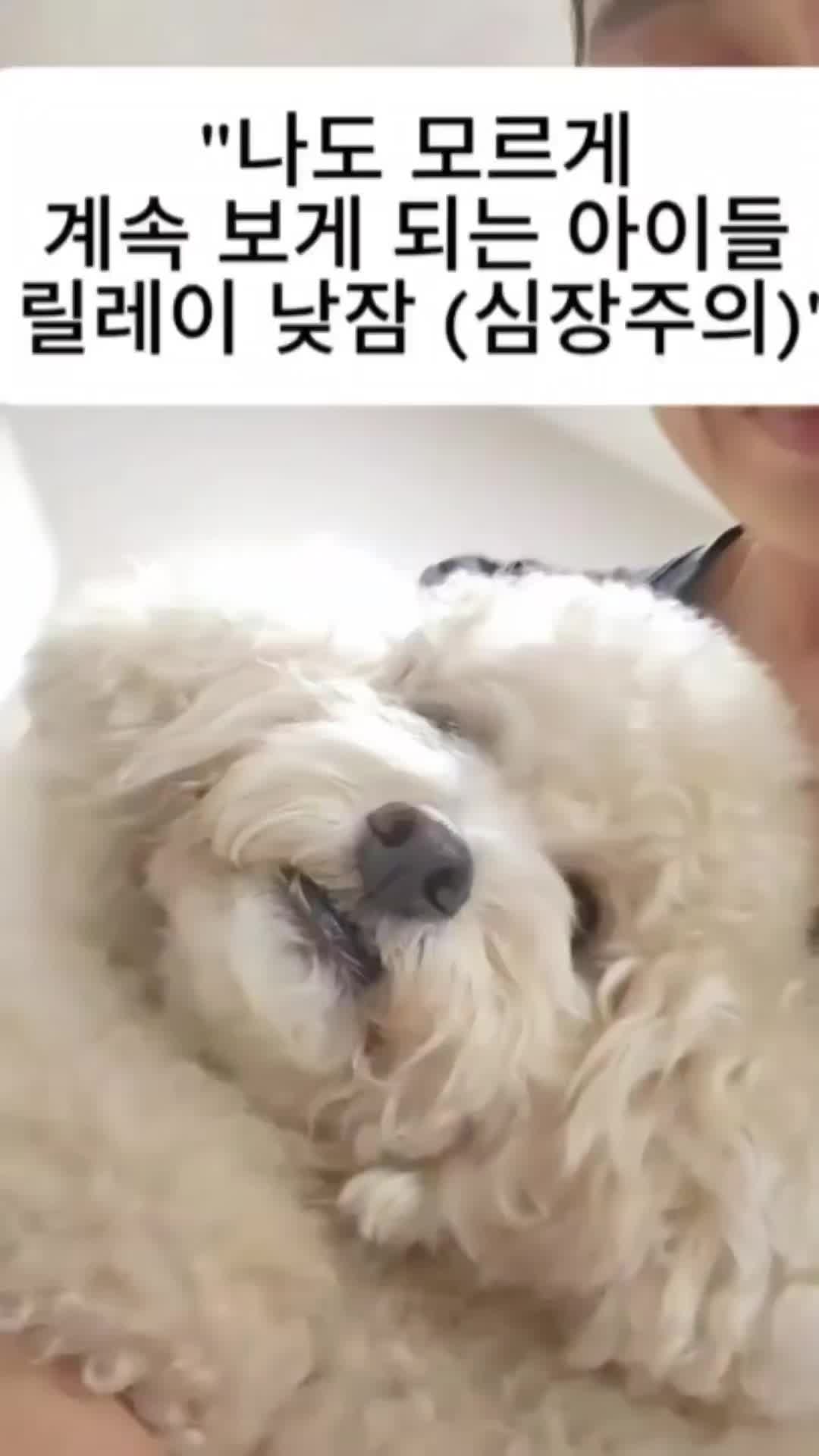 @백서현218