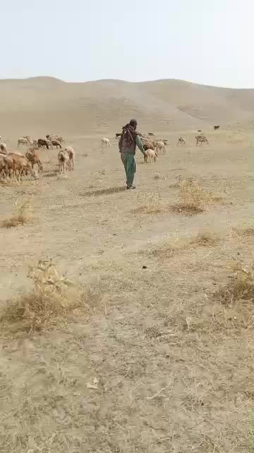 @عبدالرحمن بارگزی🇦🇫🇦🇫🇦🇫