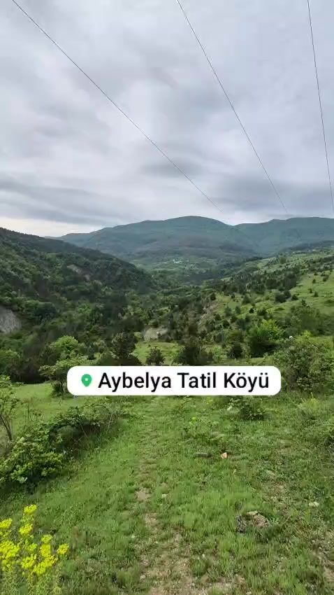 @Ahmet &ouml;zcan