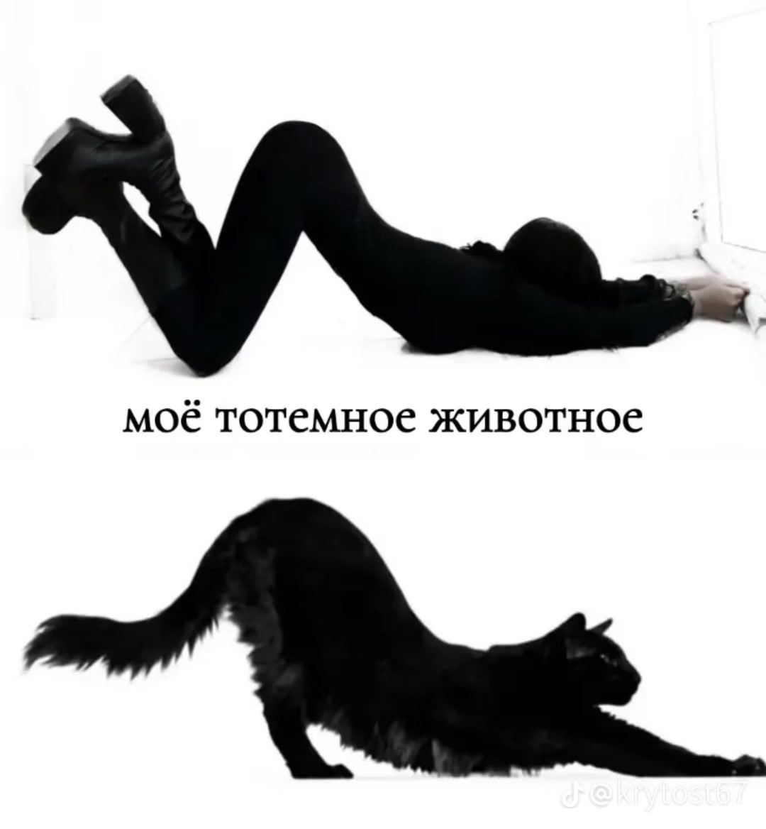 @ТГК:🎀просто Аля🎀