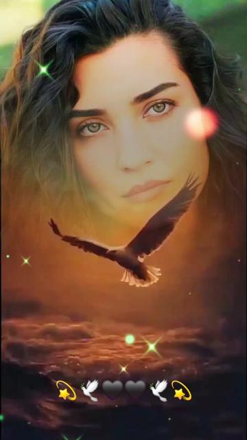 @💫🕊🖤🖤🕊💫