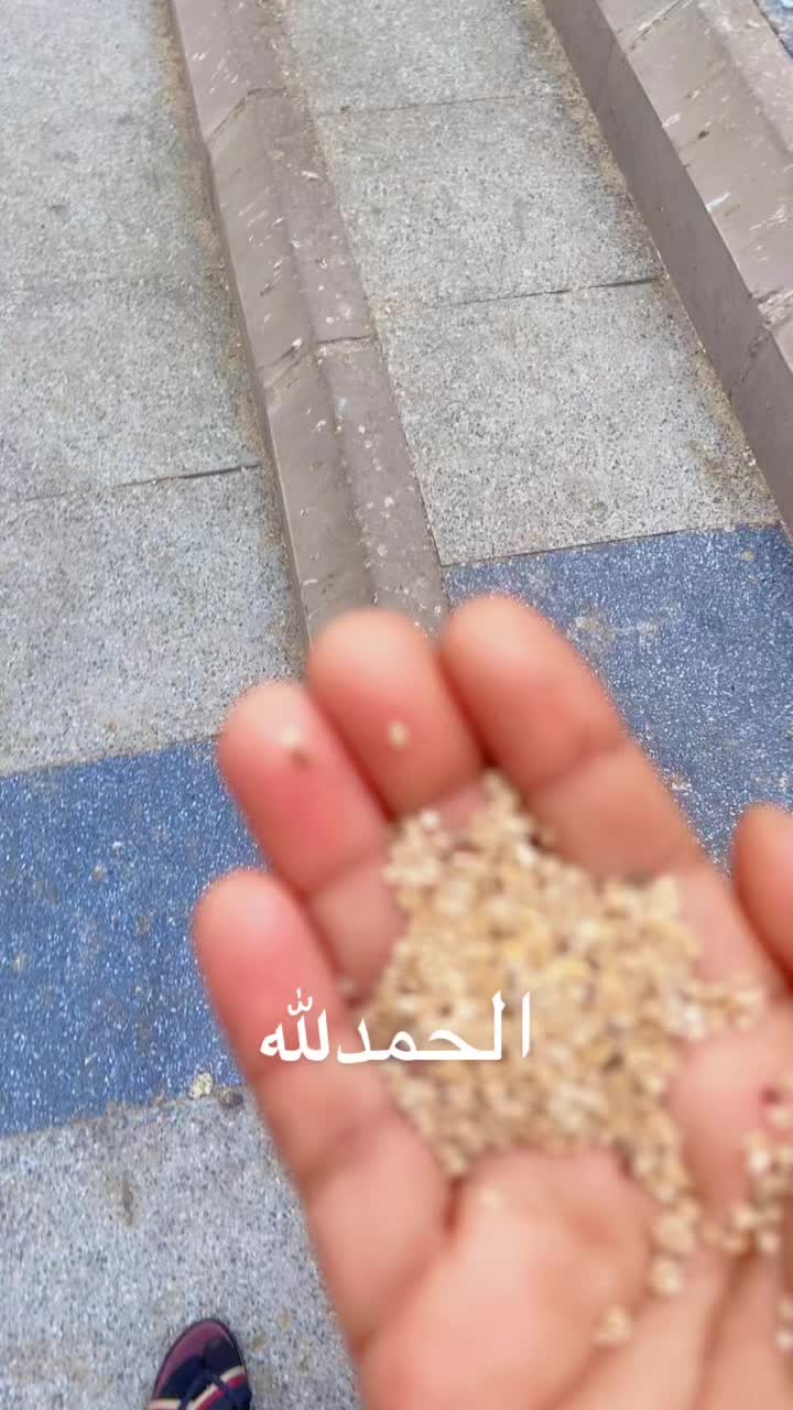 @አለውያ ሰይድ 🌎