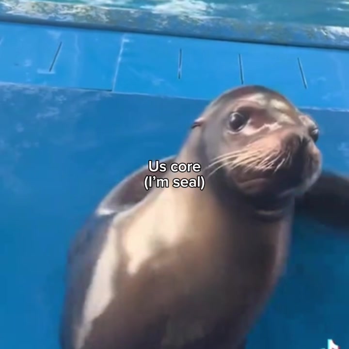 @BaikalSealHugger