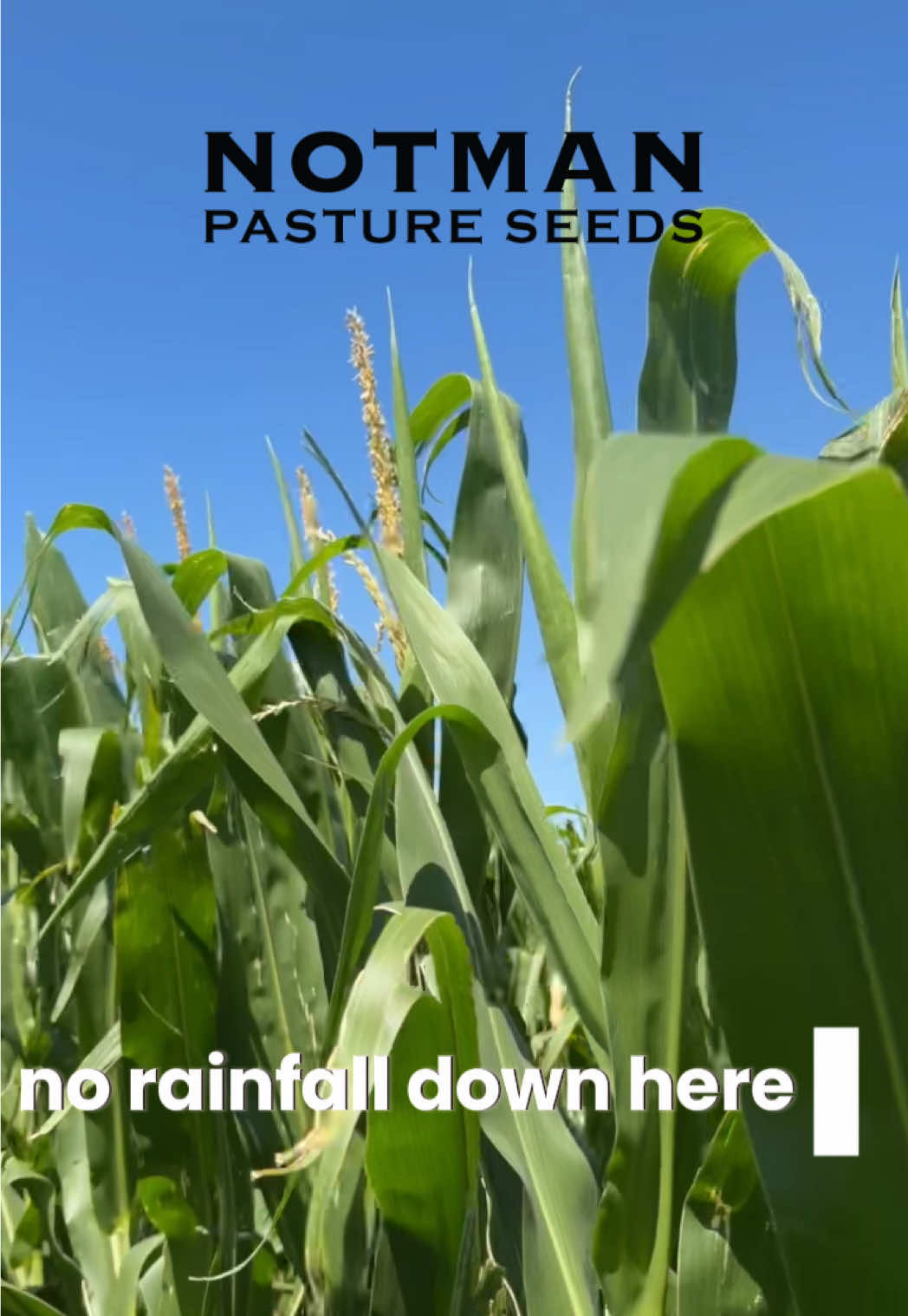 @notmanpasture