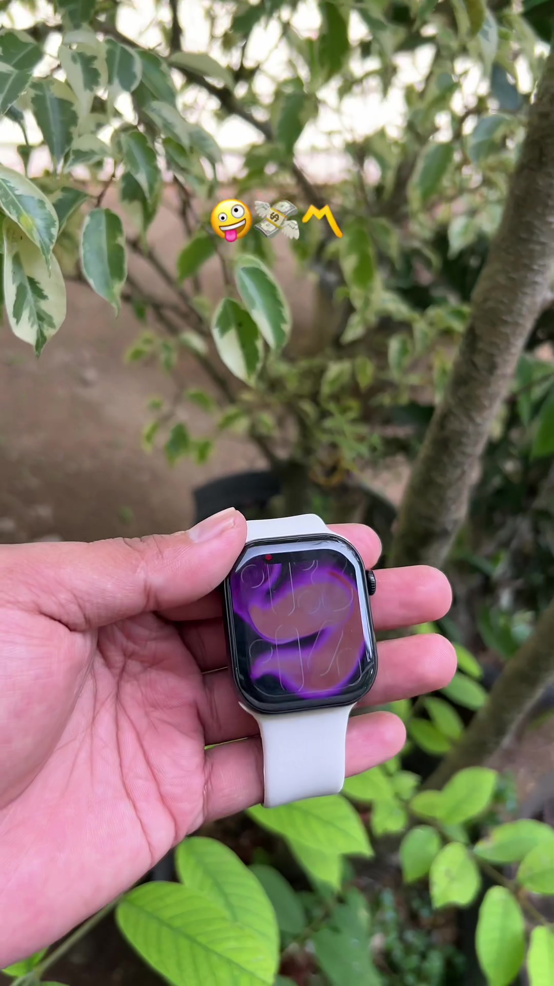 @Jampintar