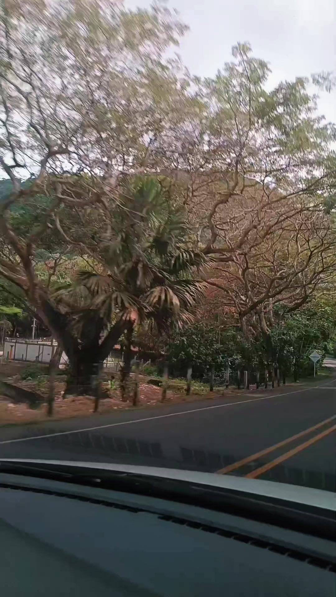 @Orozco 👌