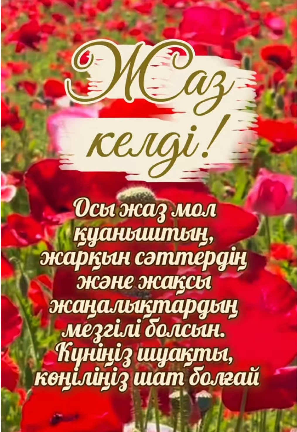 @aray_dinasil