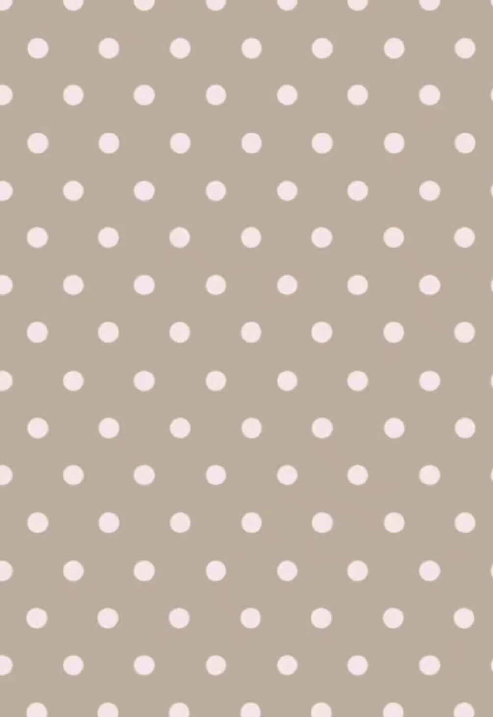 @ari 🪽