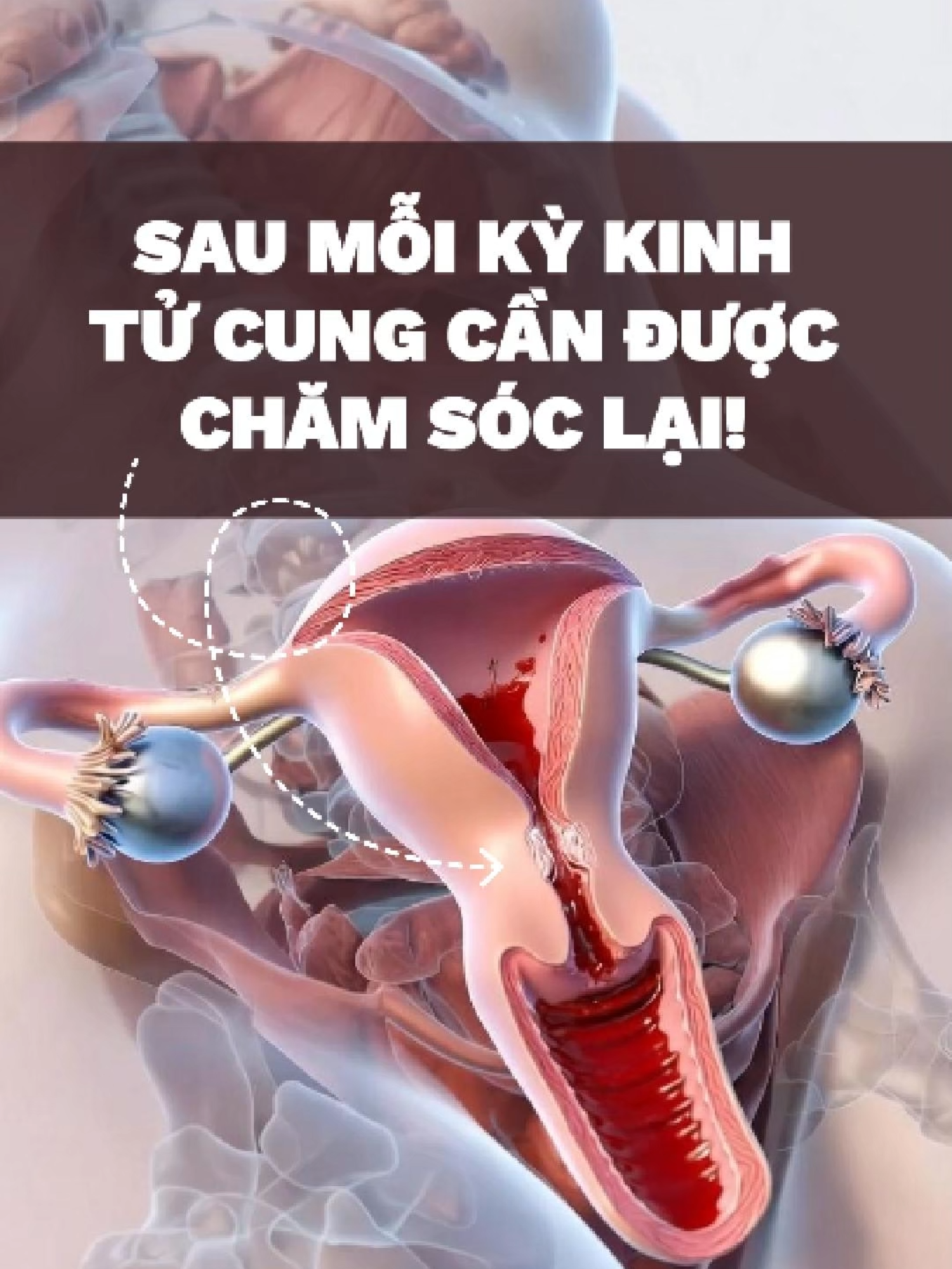@Triều Gia Y Dưỡng