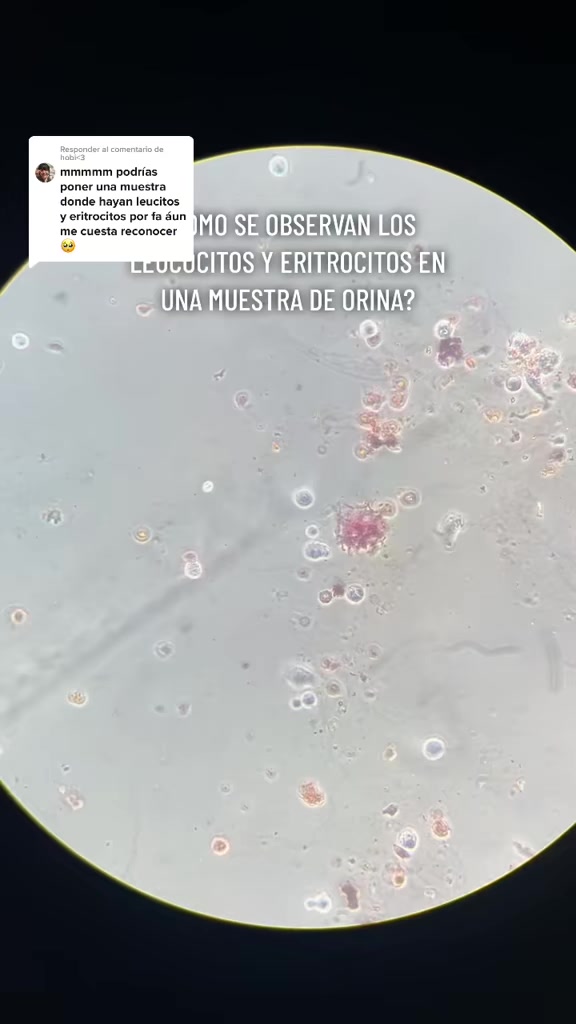 @ALab 🔬💉🩸