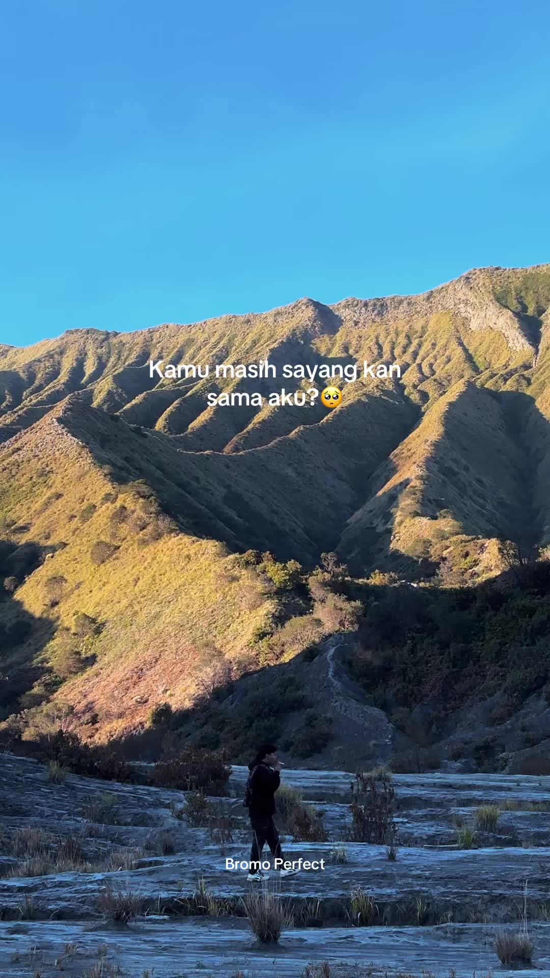 @Travel Bromo Probolinggo