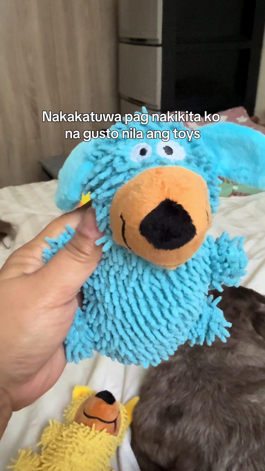 @Nella and Lucky the Shih🐶