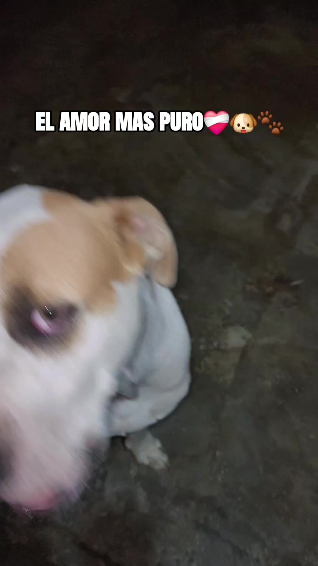 @𝗚𝘂𝗮𝗱𝗮𝗹𝘂𝗽𝗲🌷🩷