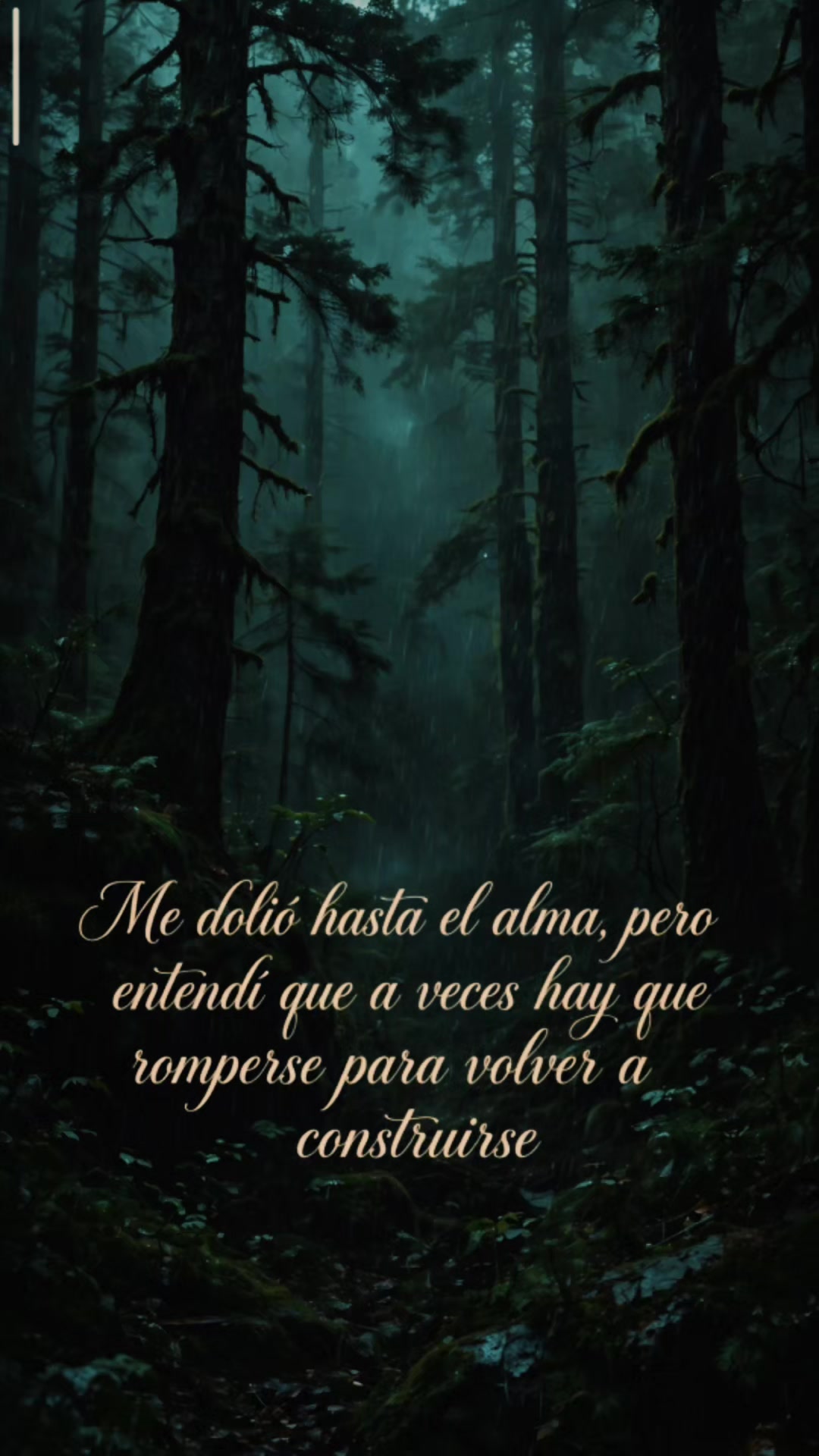 @✨vitt💞