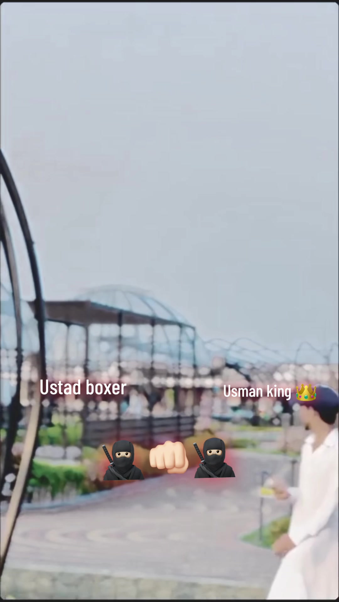 @Boxer 1