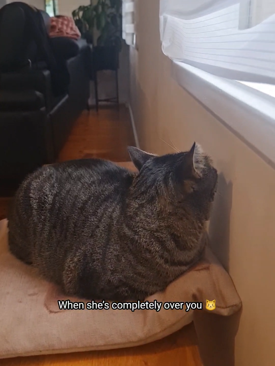 @PhoebeinWonder