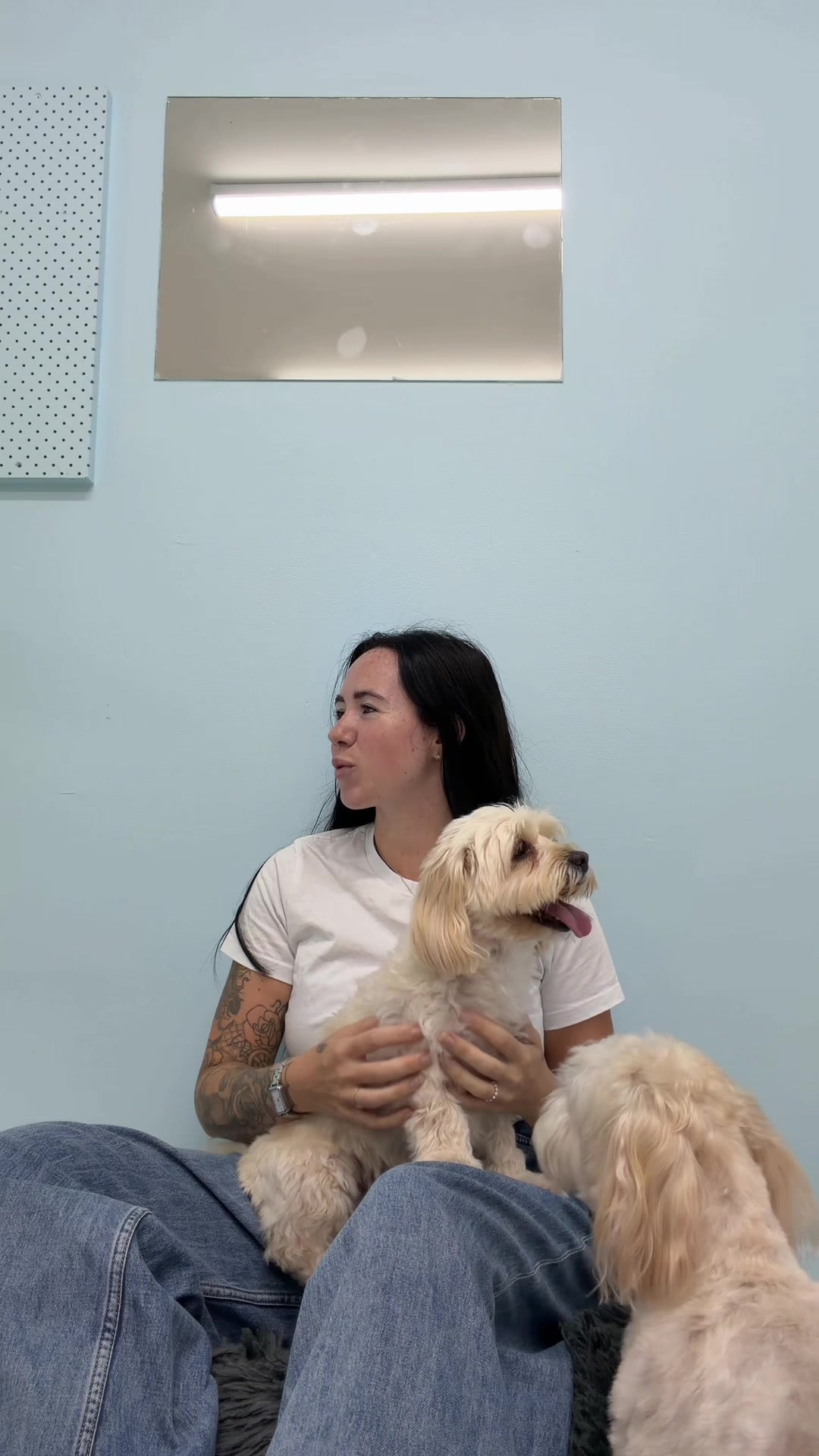 @Chenelle | Pet Sitter Podcast