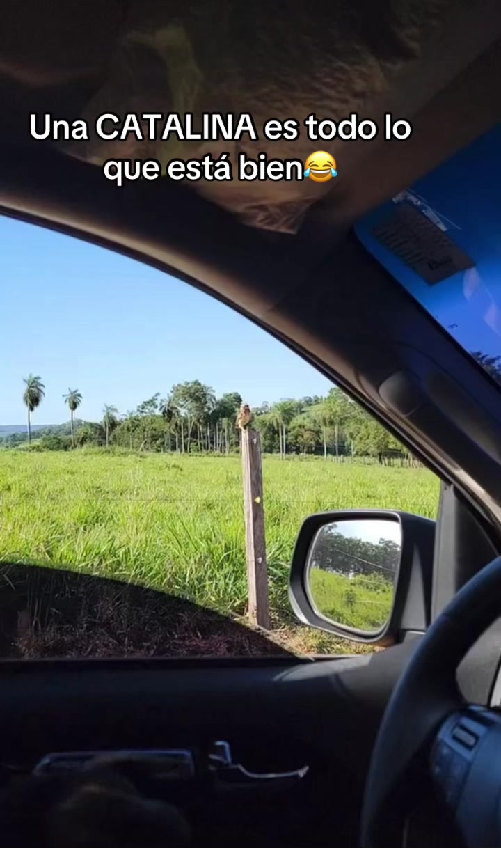 @ManuVM💸🧿🥷🍀📿🐅.