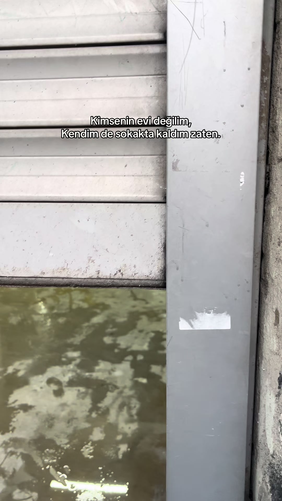 @𝐘𝐒𝐅