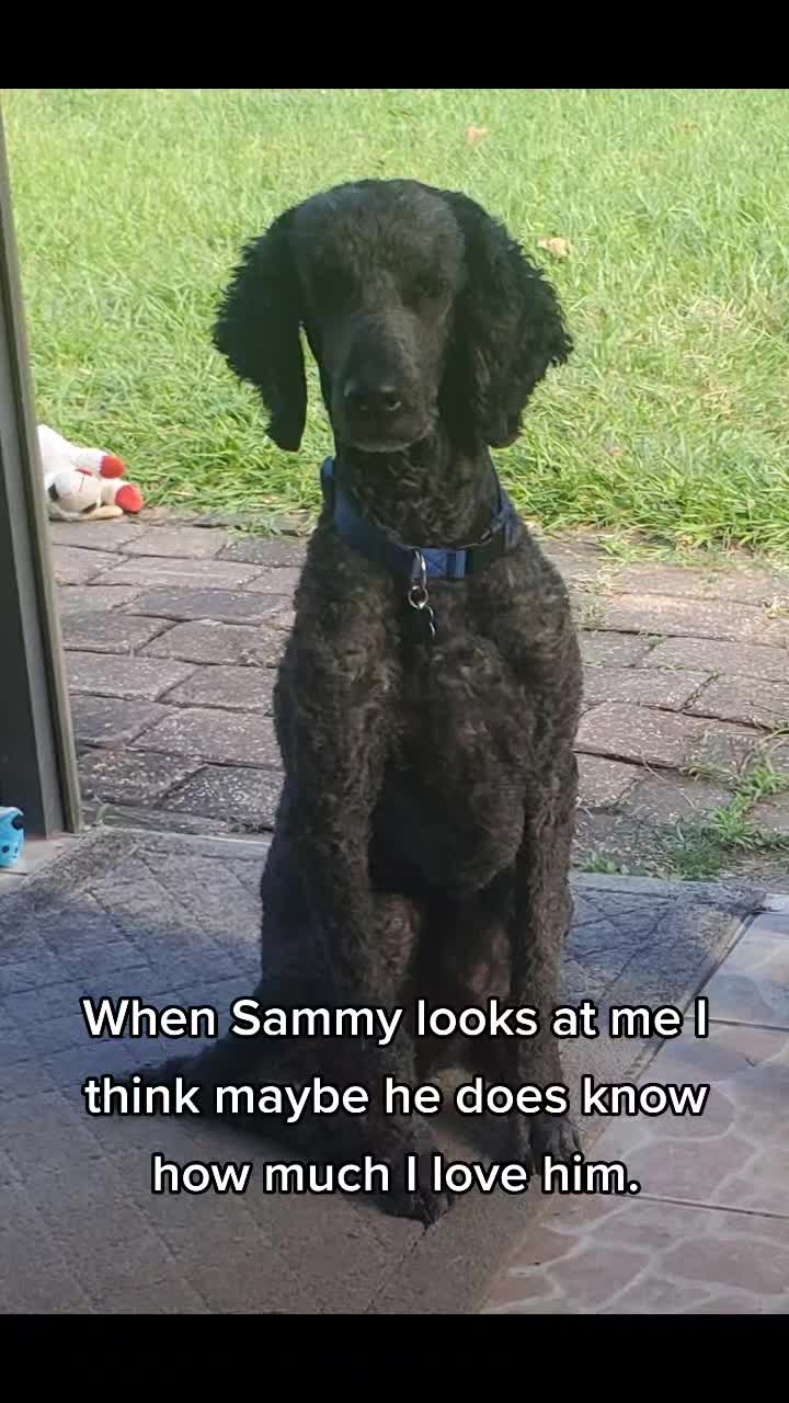@SammyDoodle🙂