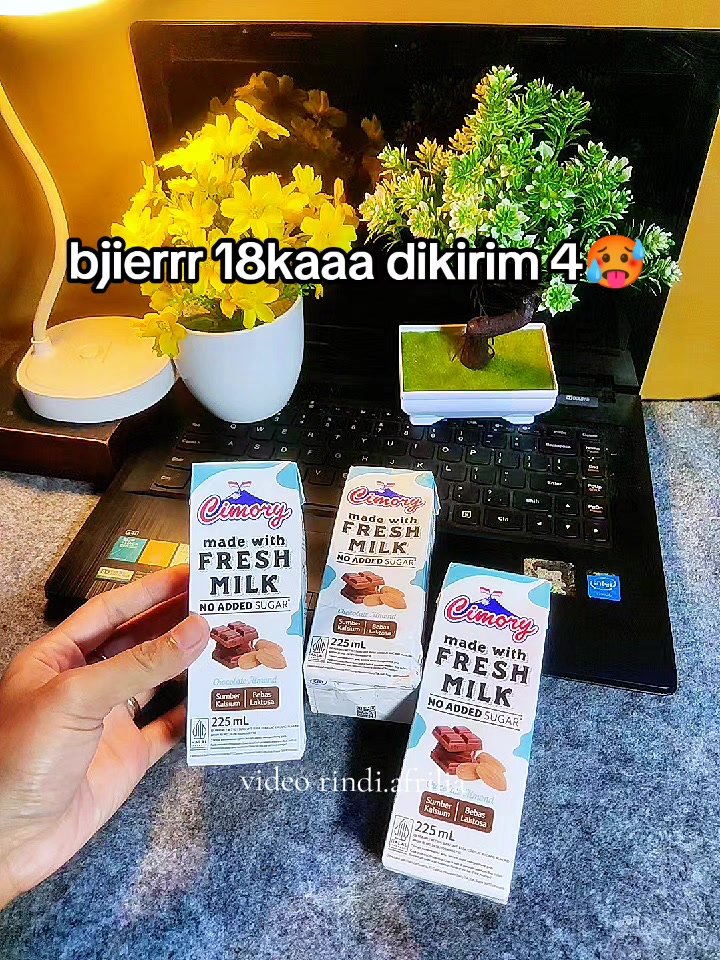 @Spal Spil by Rind✨