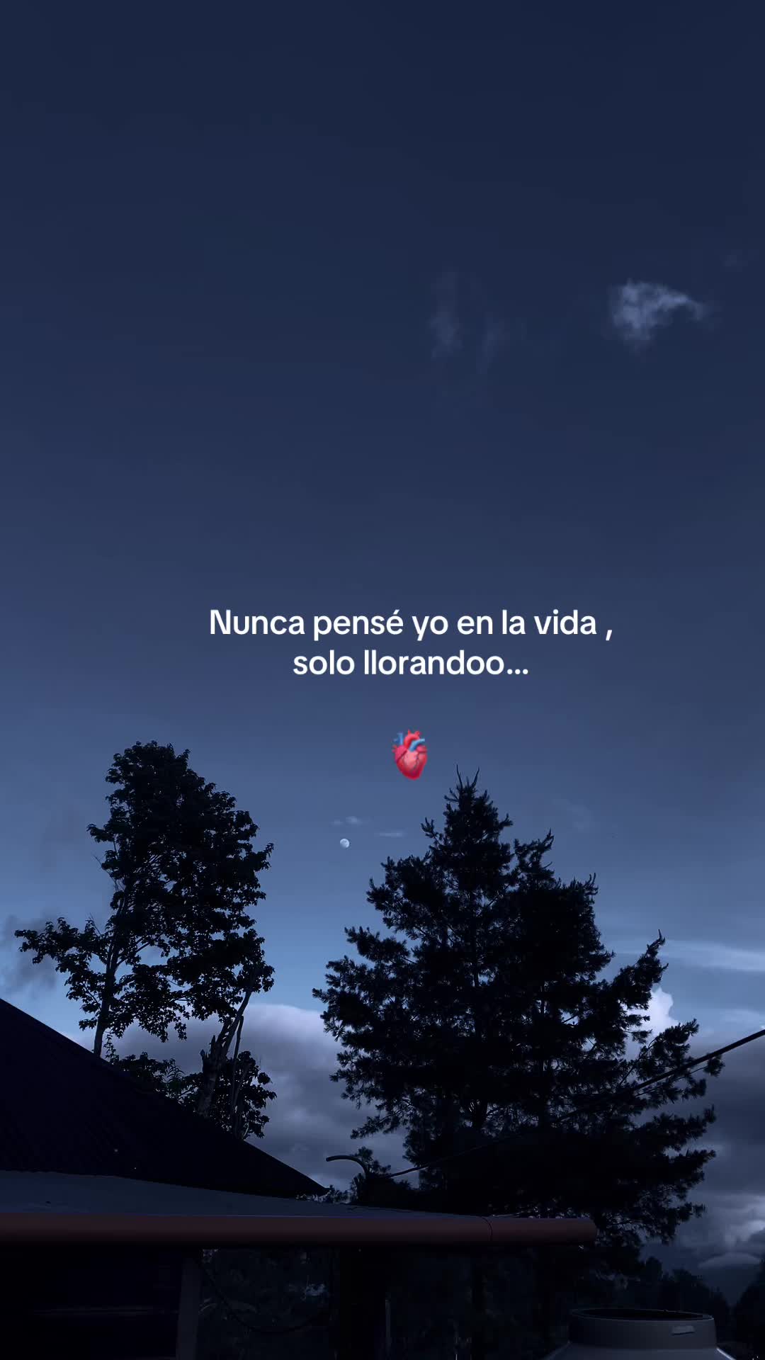 @🥀🪫Suly 🪫🥀