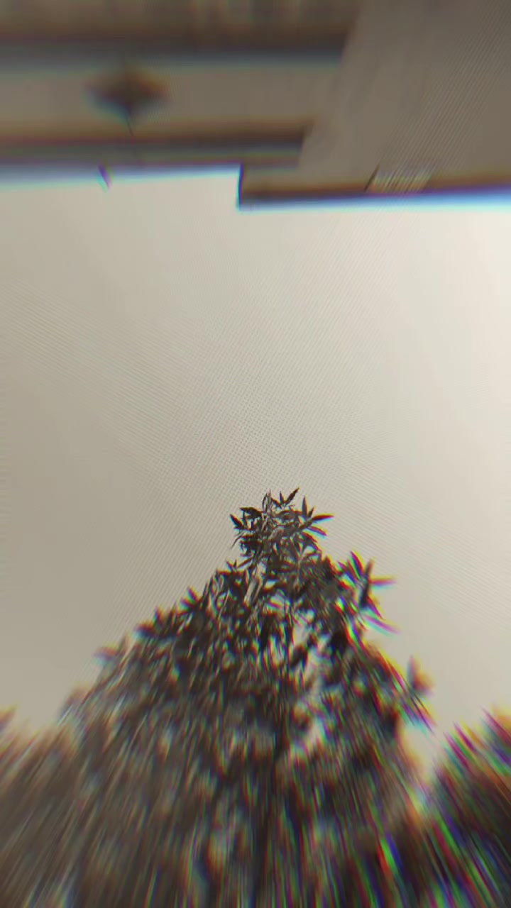 @๐๐๐๐๐งธ๐ค