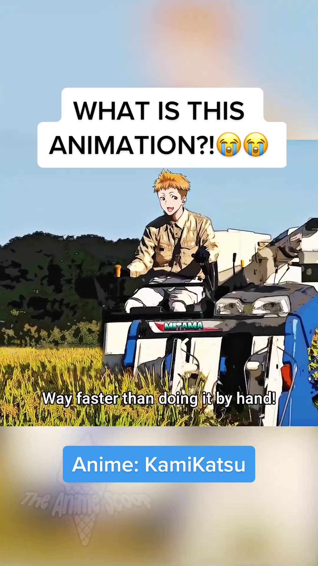 @The Anime Scoop