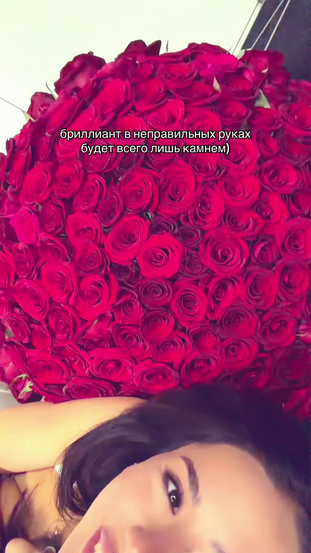 @N🕊️
