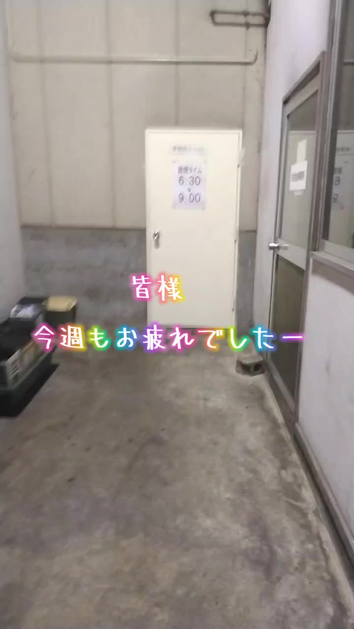 @🐶コマちゃんねる⭐越後の虎🐯