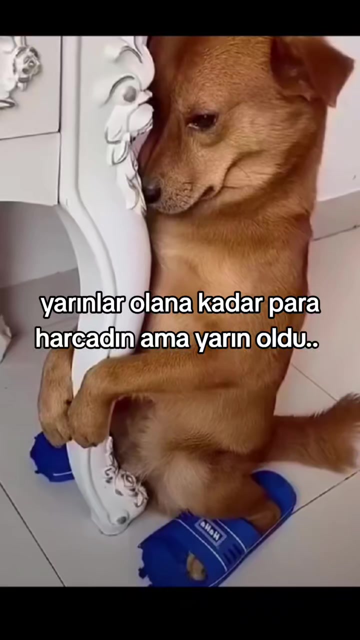 @ikikasıkkaymaqcıyız