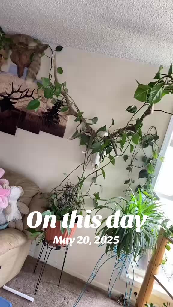 @Kmkchick&spades;️🎱🍒