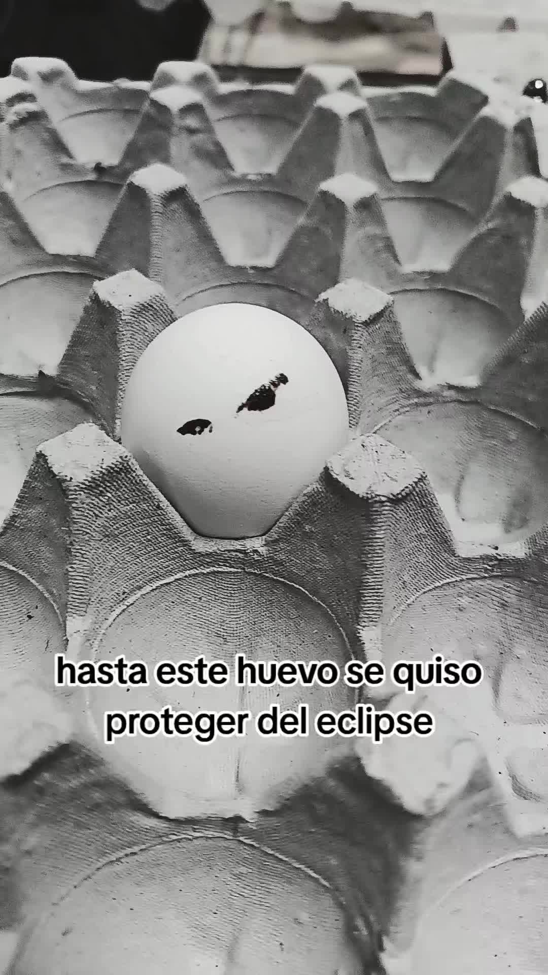 @🦂MaryVasquez🦂