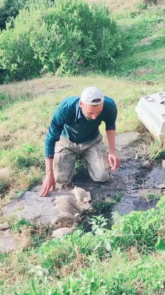 @𝙨𝙖𝙢𝙥𝙖𝙨 tanıtım