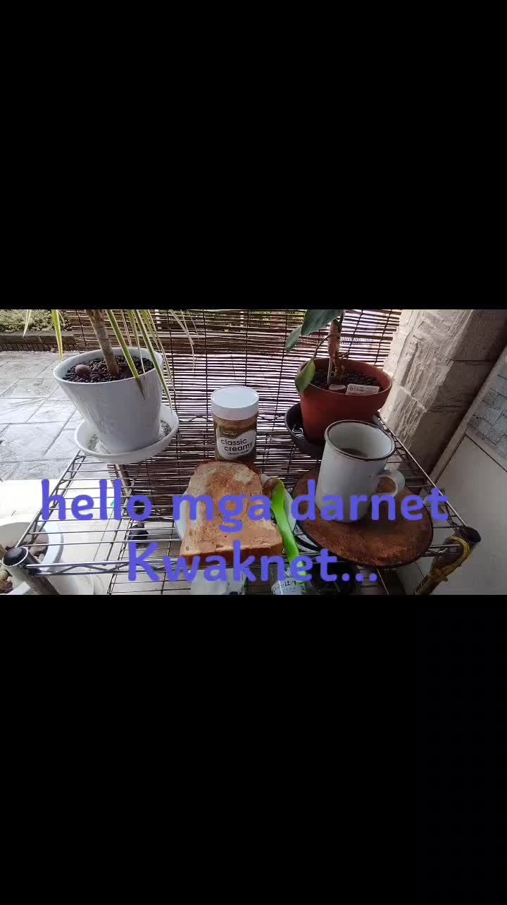 @Darnet Akiyama