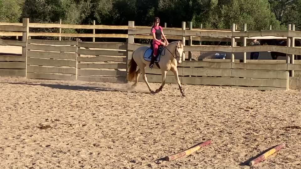 @🐴💎🥰