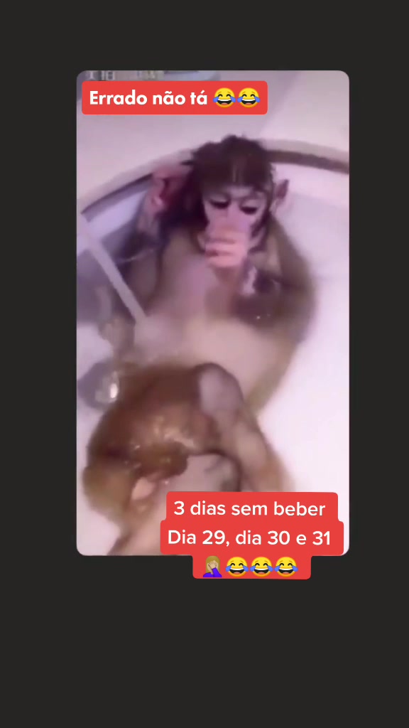 @Cristiane Teodoro