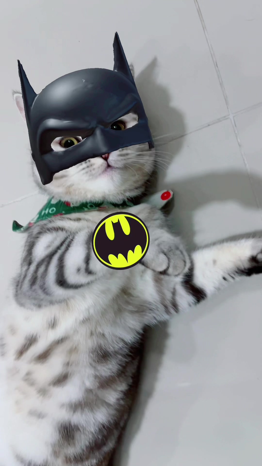 @Lyra and friends 😽