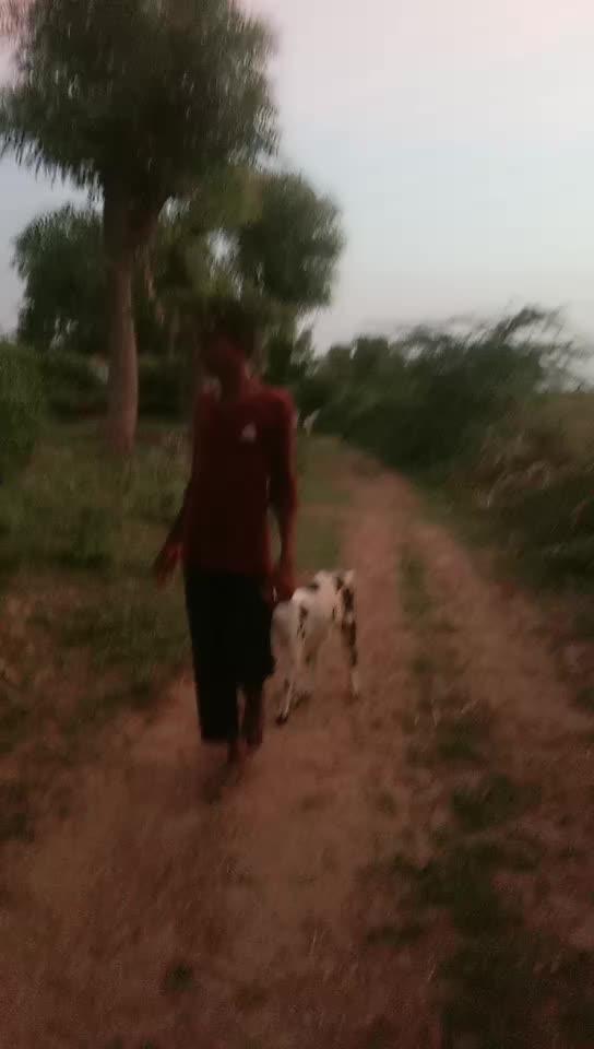 @solanki Rahul gj24