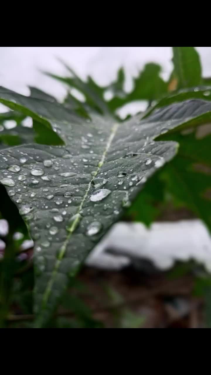 @𝔸𝔸𝔻𝕀_-_>&bull; &bull;<ℙ𝔸ℝ𝕀𝕐𝔸ℝ🍁
