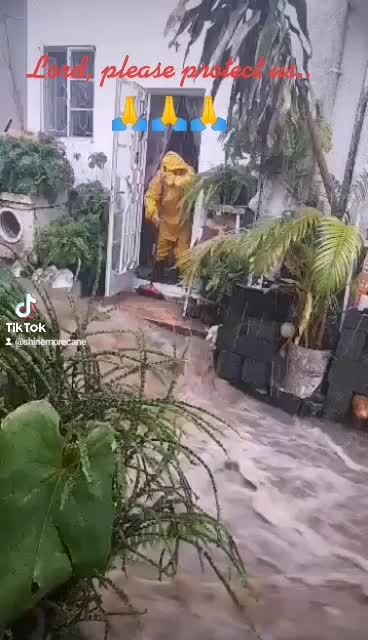 @Shine Cane