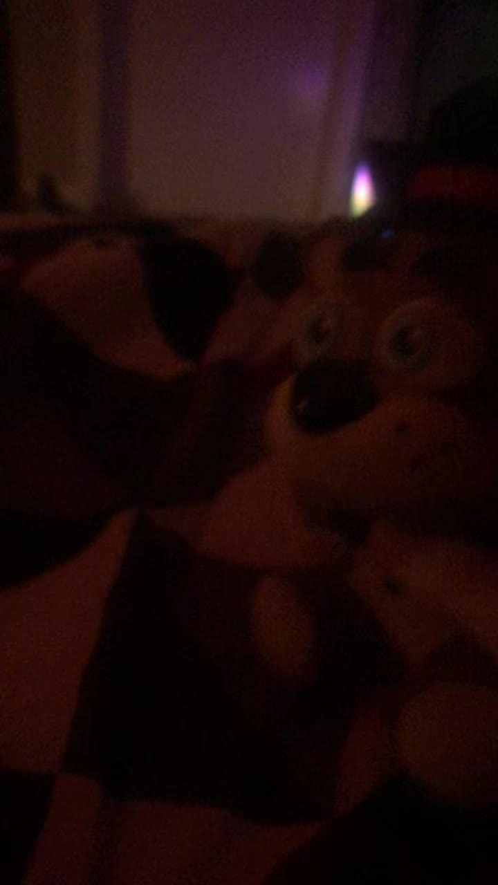 @TheToyFreddyShow