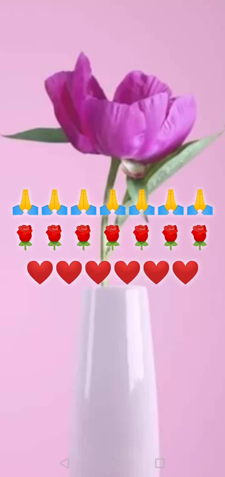 @Marimar Sanchez