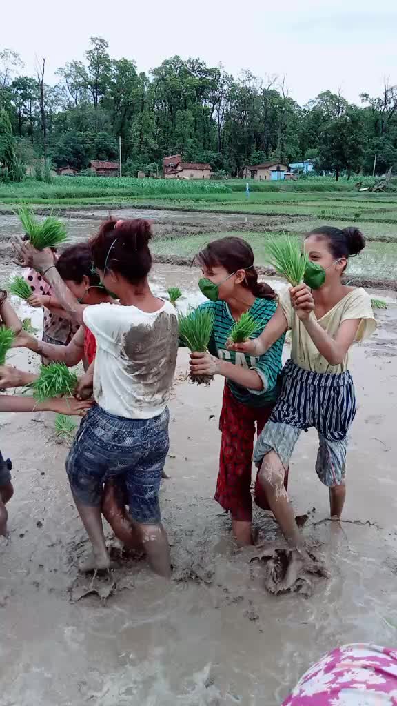 @Rekha Bhatta