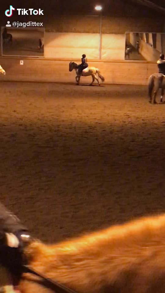 @•Equestrians•