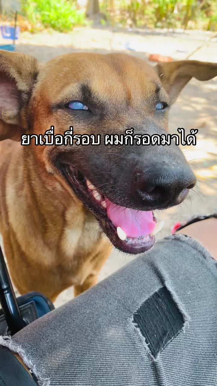 @TANIDA"ธานิดา"